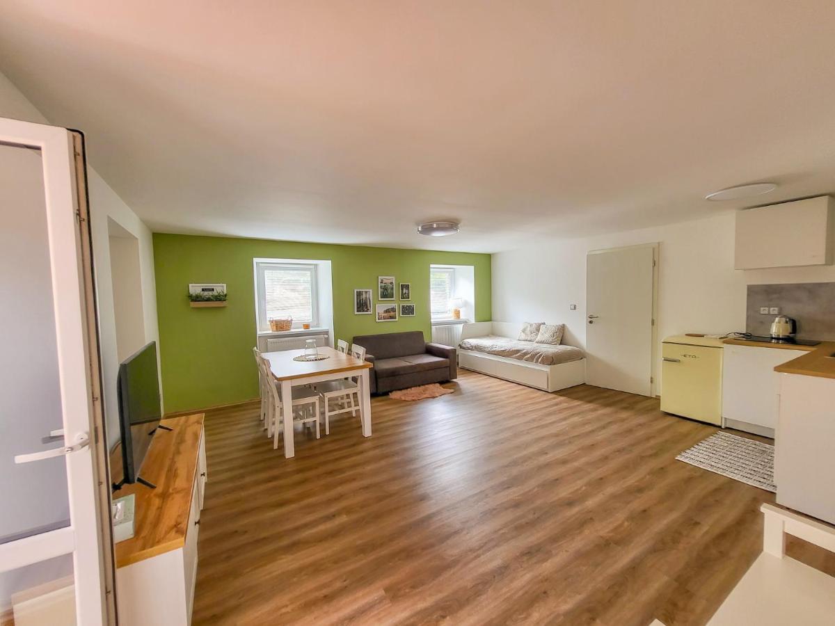 Apartmany U Kolacku Hartmanice  Buitenkant foto