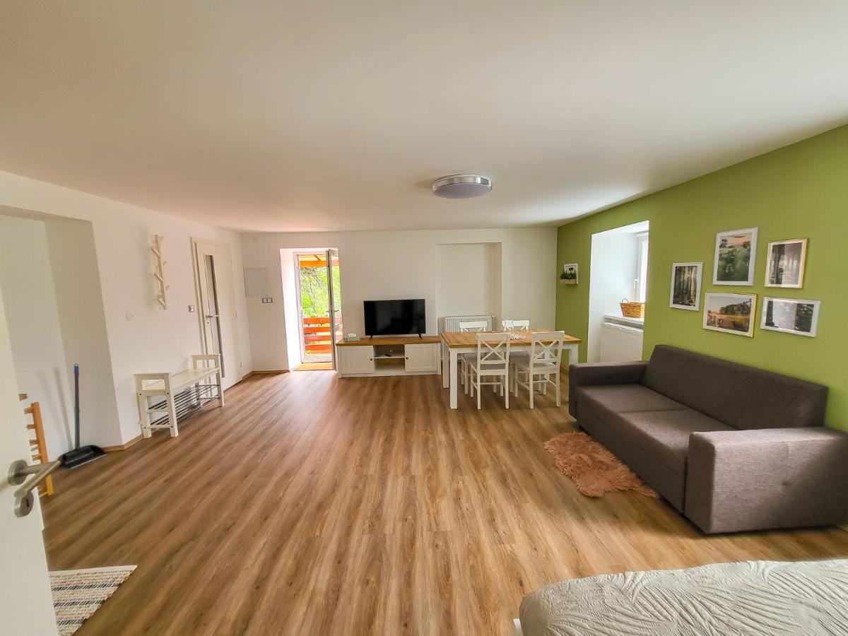 Apartmany U Kolacku Hartmanice  Buitenkant foto