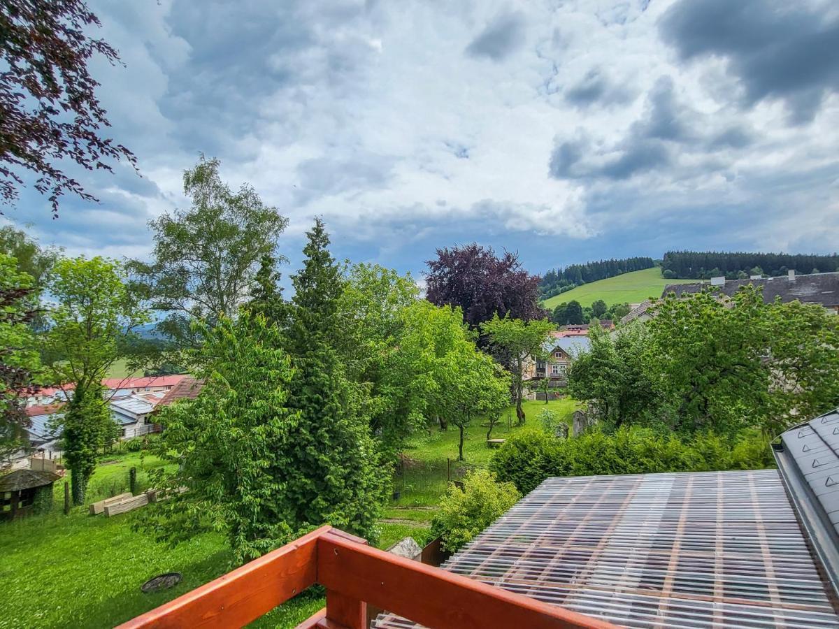 Apartmany U Kolacku Hartmanice  Buitenkant foto
