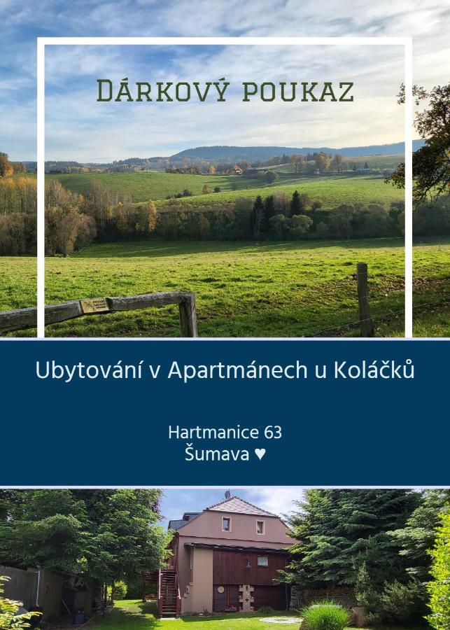 Apartmany U Kolacku Hartmanice  Buitenkant foto